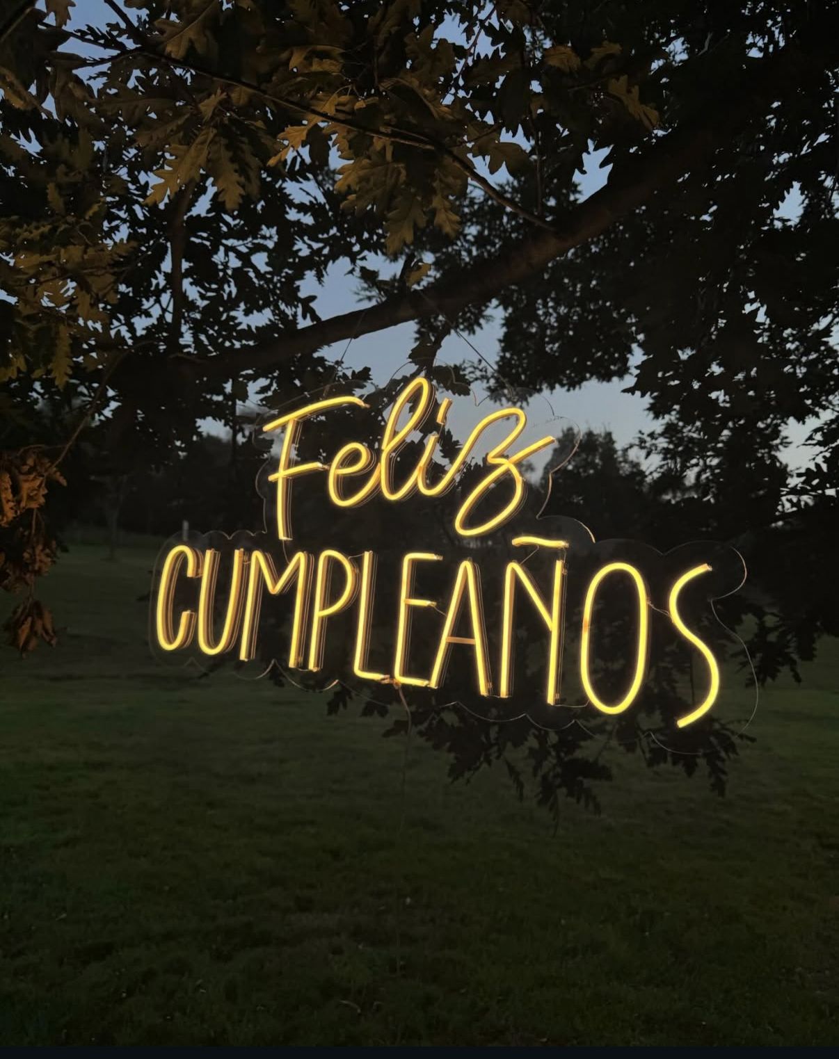 Rótulo LED para eventos y celebraciones en Oviedo